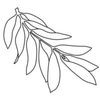 ilustração vetorial. ramo de oliveira, linha, ilustração botânica monocromática minimalista em um fundo branco vetor