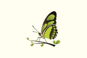 inspiração de logotipo de borboleta