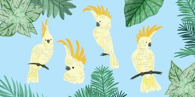 quatro kakadu fofos, pássaros tropicais, vetor desenhado à mão