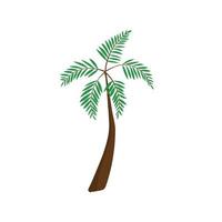 ilustração vetorial palmeira vetor