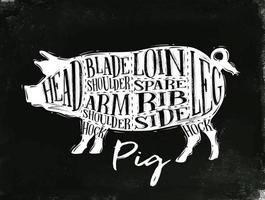 cartaz esquema de corte de porco de porco rotulação cabeça, ombro de lâmina, ombro de braço, lombo, costela, lado, jarrete, perna em estilo vintage desenho com giz no fundo do quadro-negro vetor