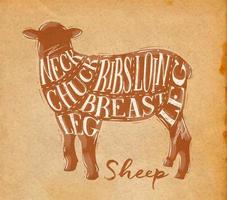 cartaz esquema de corte de cordeiro de ovelha letras pescoço, mandril, costelas, peito, lombo, perna em estilo retro desenho em fundo de artesanato