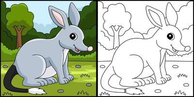 bilby animal para colorir ilustração colorida vetor