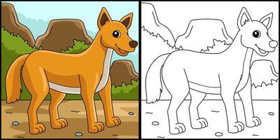 dingo animal para colorir ilustração colorida vetor