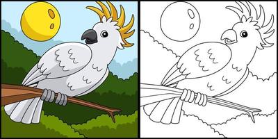 cacatua animal para colorir ilustração colorida de página vetor