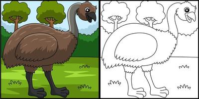 emu animal para colorir ilustração colorida vetor