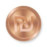 moeda de bronze do símbolo sheqel conceito de moeda na internet vetor