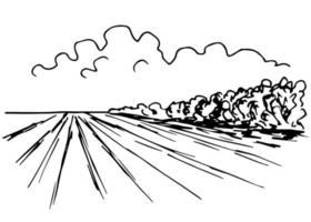 desenho vetorial simples em contorno preto. paisagem rural, campo arado, perspectiva, árvores no horizonte, nuvens no céu. fazenda, época de semeadura.