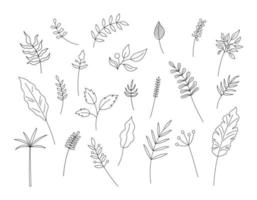 folhas de contorno isoladas. conjunto de vetores de elementos decorativos de plantas em fundo branco. objetos de linha simples desenhados à mão para desenhos florais