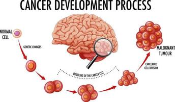 diagrama mostrando o processo de desenvolvimento do câncer