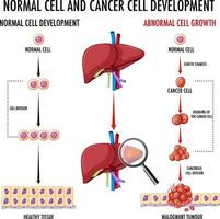 diagrama mostrando células normais e cancerosas vetor