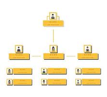 design de vetor infográfico de organograma