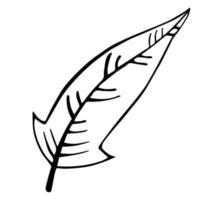 ícone de vetor de penas de pássaro. ilustração de doodle contorno preto. pena isolada no fundo branco