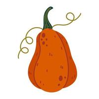 ícone de vetor de cabaça de jardim maduro. abóbora de outono brilhante com pecíolo, folhas. delicioso vegetal desenhado à mão. estilo cartoon plana, clipart sazonal isolado no fundo branco