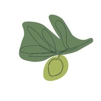 ilustração minimalista ramo de oliveira de uma linha com manchas verdes vetor