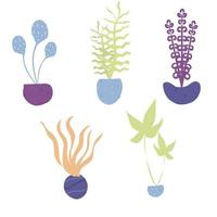 ilustração gráfica vetorial de conjunto de plantas ornamentais bonitos em vasos. cinco tipos de estilo escandinavo de plantas ornamentais coloridas. bom para adesivos, planejadores, cartões, convites, scrapbooking. vetor