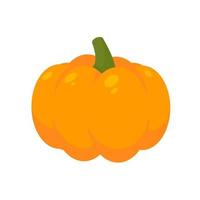 abóbora laranja é um vegetal de alta energia. para cozinhar vetor