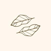 design de contorno de folha, folha, ilustração simples de folha para decoração vetor