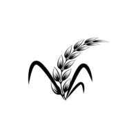 imagem vetorial de desenhos de logotipo de ícone de trigo e arroz vetor
