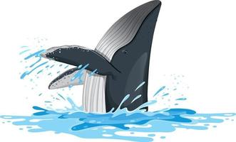 baleia jubarte na água vetor