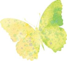 borboleta em aquarela. silhueta de design multicolorido. impressão, adesivos, laser vetor