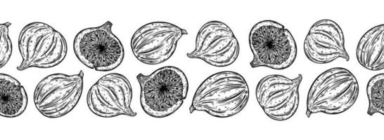 de vetor sem costura de figos. frutas de jardim doces inteiras, metade. esboço de frutas frescas com polpa saborosa, sementes. contorno monocromático da planta mediterrânea. arte de linha botânica desenhada à mão