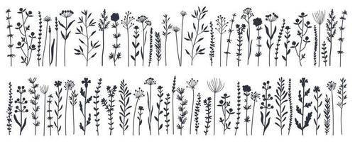 jardim de silhuetas negras e folhagem selvagem, flores, ilustração vetorial de ramos vetor