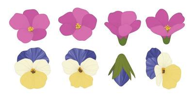 conjunto de ilustração de flores desabrochando coloridas. vetor