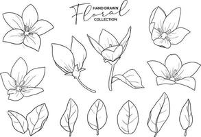 coleção de rabiscos florais pretos e whote desenhados à mão vetor