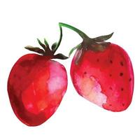 desenho em aquarela de frutas morango