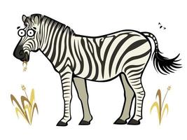 zebra despreocupada de desenho bonito mastigando palha de grama seca vetor