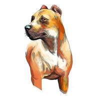 Alano espanol cão aquarela esboço desenhado à mão pintura desenho ilustração vetor