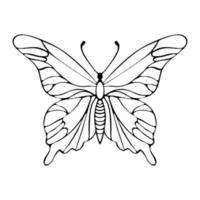 doodle de desenho de mão de contorno de borboleta vetor