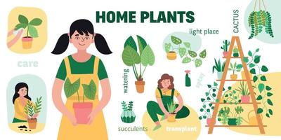 conjunto de infográfico de plantas em casa vetor