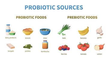 infográficos de desenhos animados de fontes de probióticos vetor