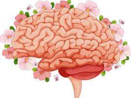 cérebro humano com flores cor de rosa vetor