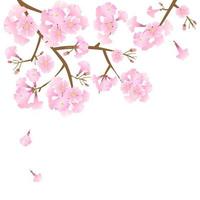 flor de trombeta rosa de vetor