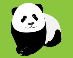 jovem panda em um fundo verde claro vetor