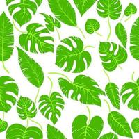 mão desenhada brunch de folha simples monstera e folhas de palmeira. sem costura vector cartoon verde trópico deixa padrão de planta da selva em camadas com sombras. papel de parede, embrulho e plano de fundo.