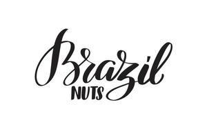 escova manuscrita inspiradora letras castanhas do Brasil. ilustração vetorial de caligrafia isolada no fundo branco. tipografia para banners, crachás, cartão postal, camiseta, estampas, cartazes. vetor