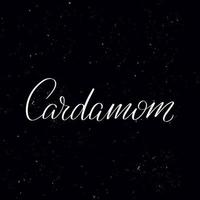 cardamomo de letras de quadro-negro. texto de caligrafia manuscrita, giz em um quadro negro, ilustração vetorial. saudações para logotipo, crachá, ícone. vetor