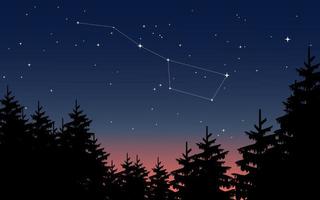 céu noturno na floresta de pinheiros com constelação vetor