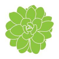 silhueta verde de suculentas. desenho de flor do deserto. planta de desenho de contorno. estilo doodle suculento.