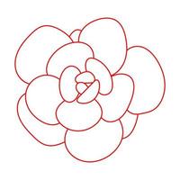 doodle flor vermelha suculenta. flor do deserto para impressão e design.