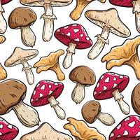 padrão perfeito de cogumelo colorido com estilo desenhado à mão vetor