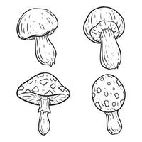 coleção de cogumelos desenhados à mão em fundo branco vetor