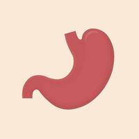 ícone do estômago. símbolo de órgãos internos humanos. anatomia do sistema digestivo. vetor