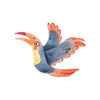 tucano aquarela isolado no branco. ilustração desenhada à mão em aquarela de pássaro tropical para design de impressão infantil vetor