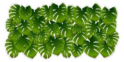 folhas de palmeira tropicais em um fundo branco. fundo verde vetor de folhas de selva ou monstera. ilustração realista para banner, anúncio ou papel de parede.