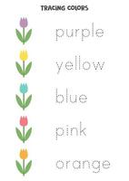 traçando palavras de cores básicas. planilha pré-escolar. vetor